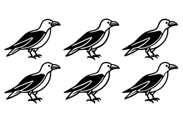 Fototapeta premium Crow Line Art Bundle