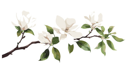 Magnolia tree branch with cream white flowers and green leaves, elegant watercolor style, editable vector illustration, spring invite card template design, isolated decorative element, botanical art © aura studio