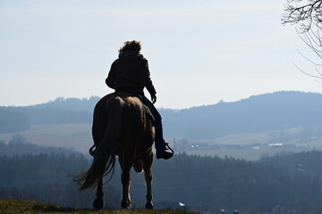Ausritt im Winter. Frau auf Westernpferd von hinten in der Wintersonne © Grubärin