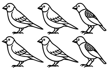 Elegant Finch Line Art Vector Collection