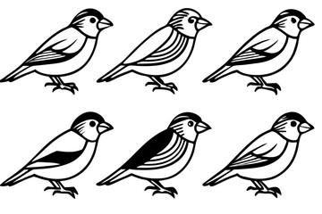 Elegant Finch Line Art Vector Collection