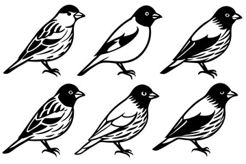 Elegant Finch Line Art Vector Collection