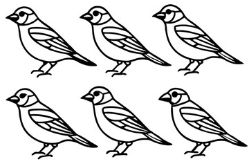 Elegant Finch Line Art Vector Collection