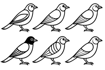 Elegant Finch Line Art Vector Collection