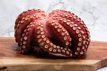 octopus on wooden board