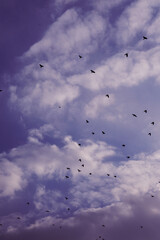 An epic and beautiful sky, the glory of nature.