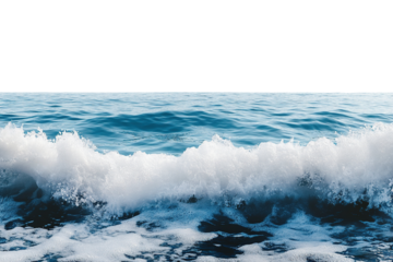 Big Waves Crashing on the Beach