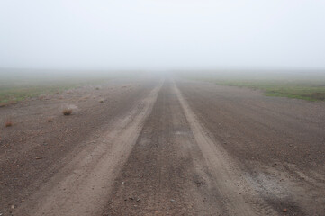 Fototapeta premium Straight dirt road through the tundra, heavy fog, green moss around. Rybachy Peninsula, Murmansk region, Russia