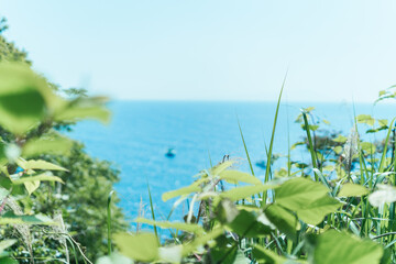 伊豆の温泉街の美しい海