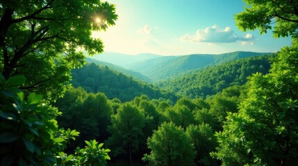 Serene landscape of sunlit green hills and lush forest canopy viewed from a treetop perspective