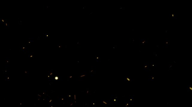 Animation of sparks from fire on a transparent background. Alpha channel.