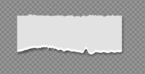 Torn sheets of paper isolated