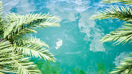 tropical island with palm trees