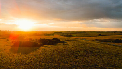 Obraz premium Colorful golden dawn in a field of wheat