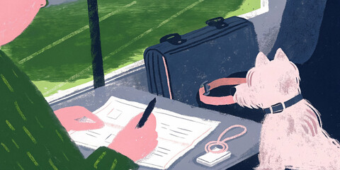 Pet owner organizing travel documents and health essentials for trip preparation