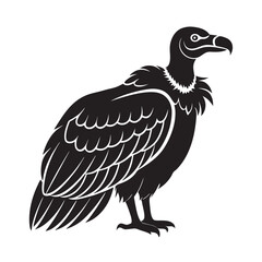 Andean condor Vector illustration artworks
