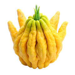 Buddha? Hand fruit isolated on transparent background 