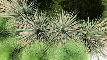 3d image of the landscape design of the home territory. Landscaping of the territory. Computer visualization of composite landscaping and landscaping solutions.