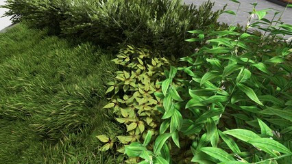 3d image of the landscape design of the home territory. Landscaping of the territory. Computer visualization of composite landscaping and landscaping solutions.