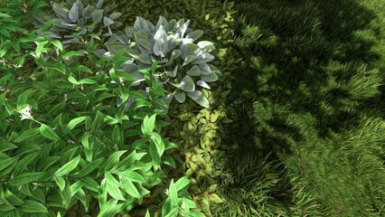 3d image of the landscape design of the home territory. Landscaping of the territory. Computer visualization of composite landscaping and landscaping solutions.