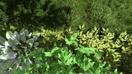 3d image of the landscape design of the home territory. Landscaping of the territory. Computer visualization of composite landscaping and landscaping solutions.