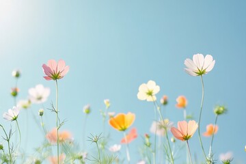 Obraz premium field awash with vibrant wildflowers basking under clear blue skies and gentle sunlight