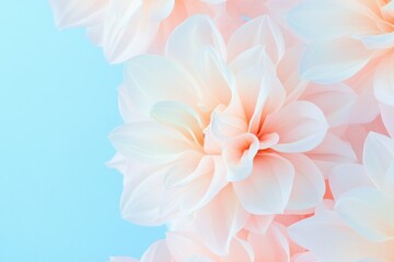 Obraz premium vibrant floral pattern with pastel hues on seamless background