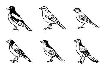 set of birds line art vector illustration, Hand Drawn Outline Sketches of Birds