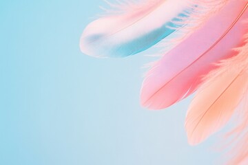Naklejka premium colorful abstract feathers gently floating on soft blurred background