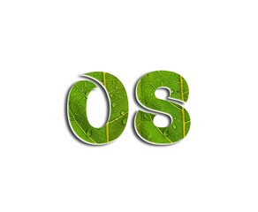 Number design with dew-stained leaves in numbers on white background