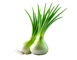 fresh green onion isolated on white background cutout
