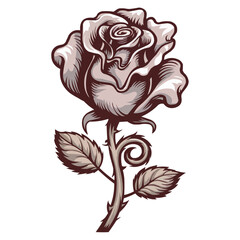 hand drawn rose