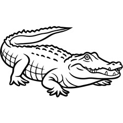 crocodile