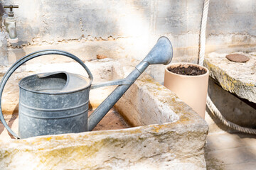 An old, weathered tin watering can with a rusty patina , evoking a rustic, nostalgic countryside...