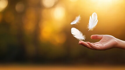 hands holding feathers