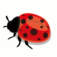 ladybug on white background. cute ladybug icons. Vector illustration