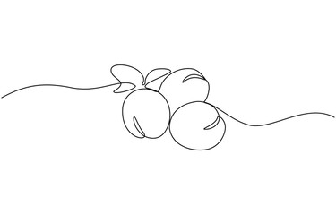 Plum fruits in continuous line art drawing style. Minimalist black line sketch on white background, Single line drawing botanical theme for logo and posters, vector illustration.