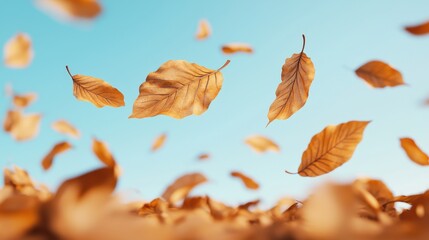 Golden autumn leaves dance in the sunlit sky