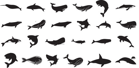 Whale icon vector set. Sperm whale illustration sign collection. Fish symbol. Ocean logo.