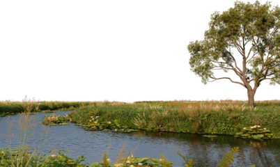 3D Render Big Tree In Meadow On Transparent Background