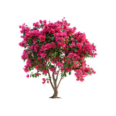 big green tree png