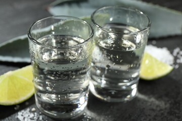 Tequila shots, slices of lime and agave leaves on grey table, closeup