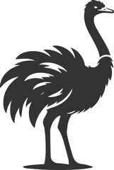 Ostrich with head raised, appearing alert animal silhouette vector