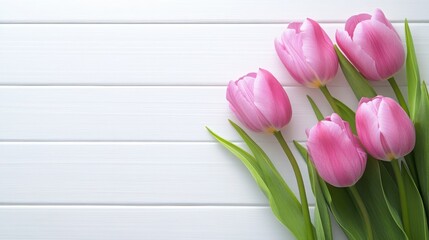 Fototapeta premium Tulips on white rustic wooden planks in spring: Mothers Day or Easter holiday concept.