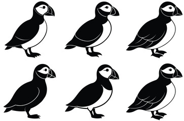 Fototapeta premium Puffin Bird Silhouette set, Silhouette Puffin vector illustration