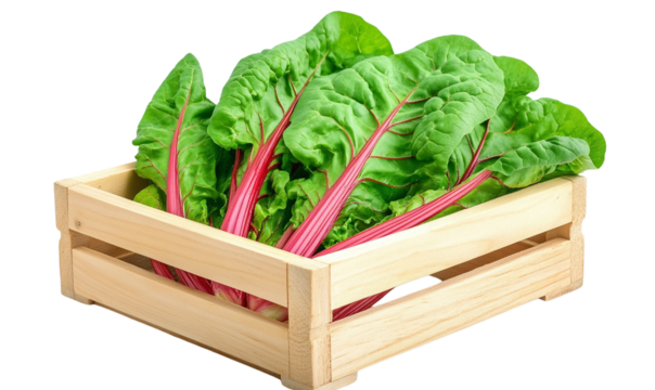 Fresh chard leaves in a wooden crate, white isolate background