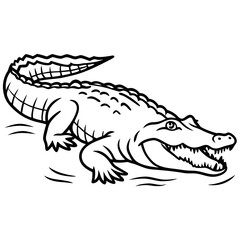Crocodile 