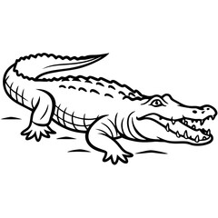 Crocodile 