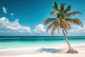 Obraz premium Tulum Treasures: Ancient Ruins Framed by Palm Trees on the Caribbean Riviera