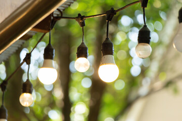A string of lights with bulbs that are all white